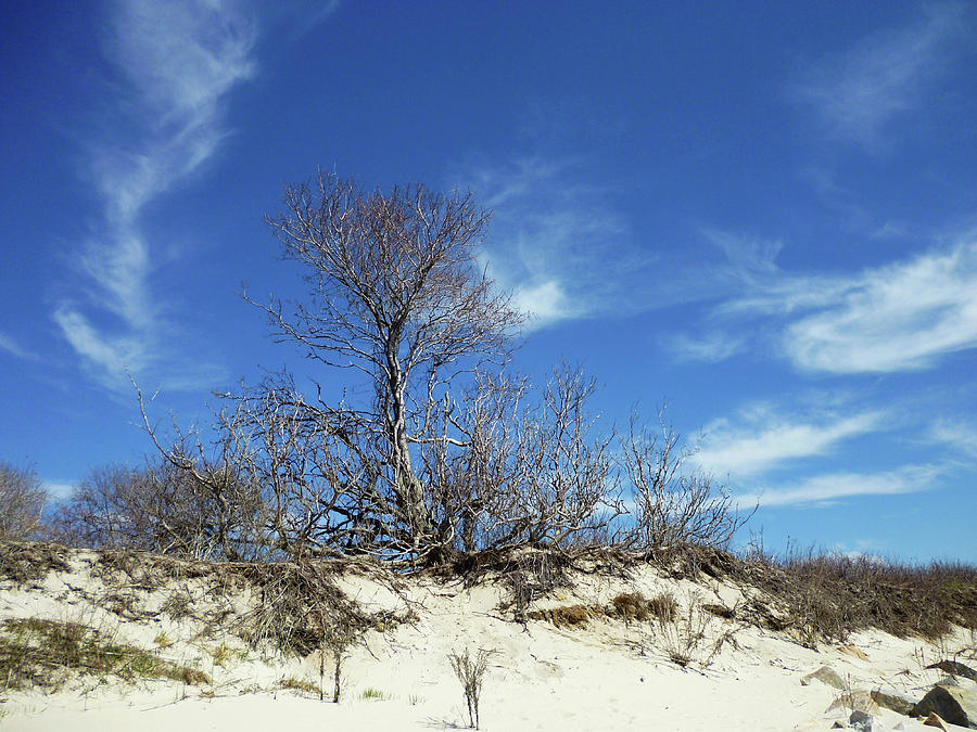 Harkness State Park beach on Long Island Sound at Waterford ...