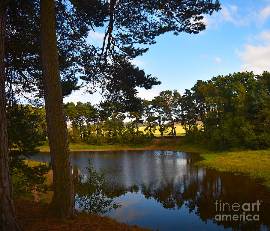 Harlaw Reservoir, Summer Reflections Photograph by Yvonne Johnstone