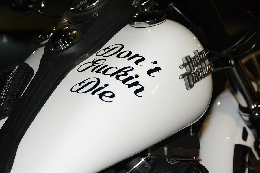 Harley-davidson Photograph - Harley-Davidson D-F-D by Don Columbus