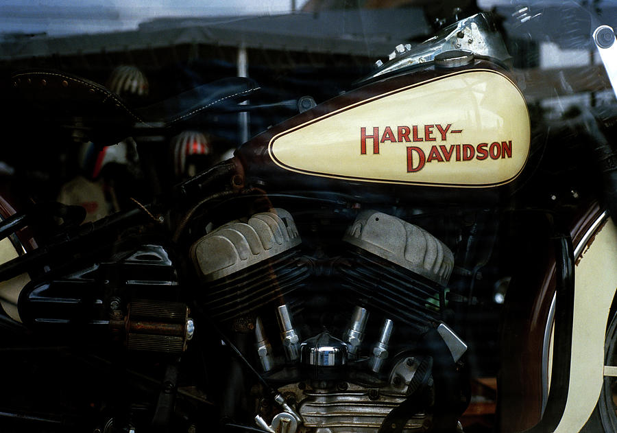 Harley Davidson Photograph by Shaun Higson