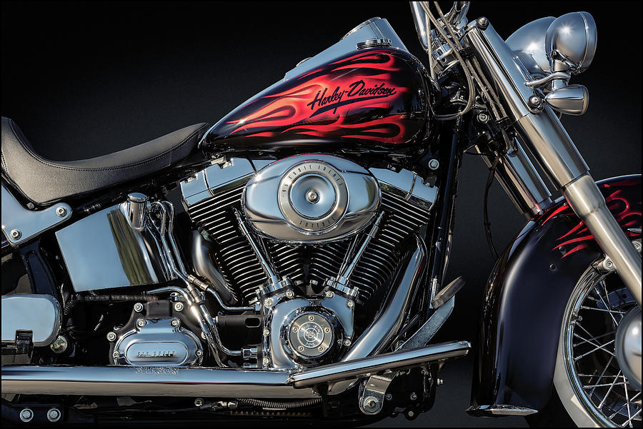 Harley Davidson Softail Photograph by Andy Romanoff