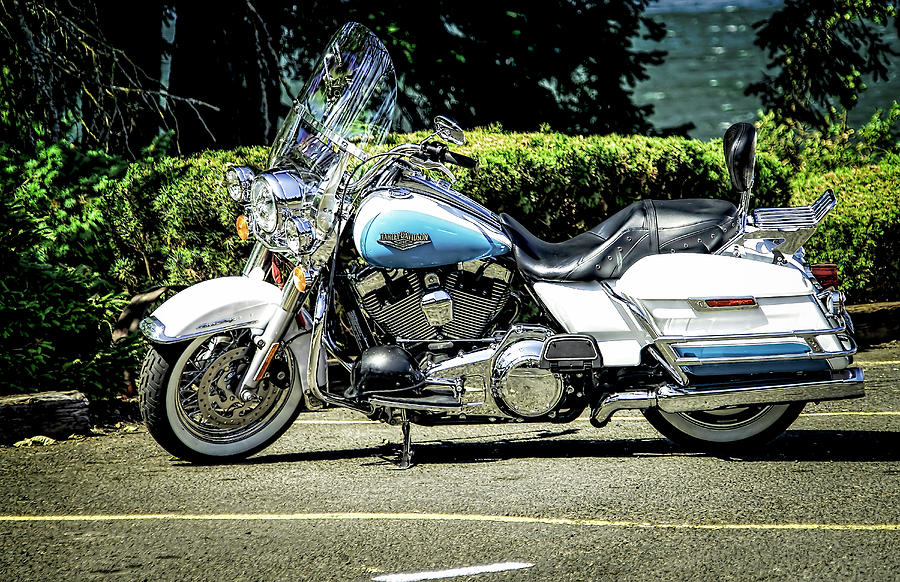 Harley Road King Photograph by Steve Benefiel