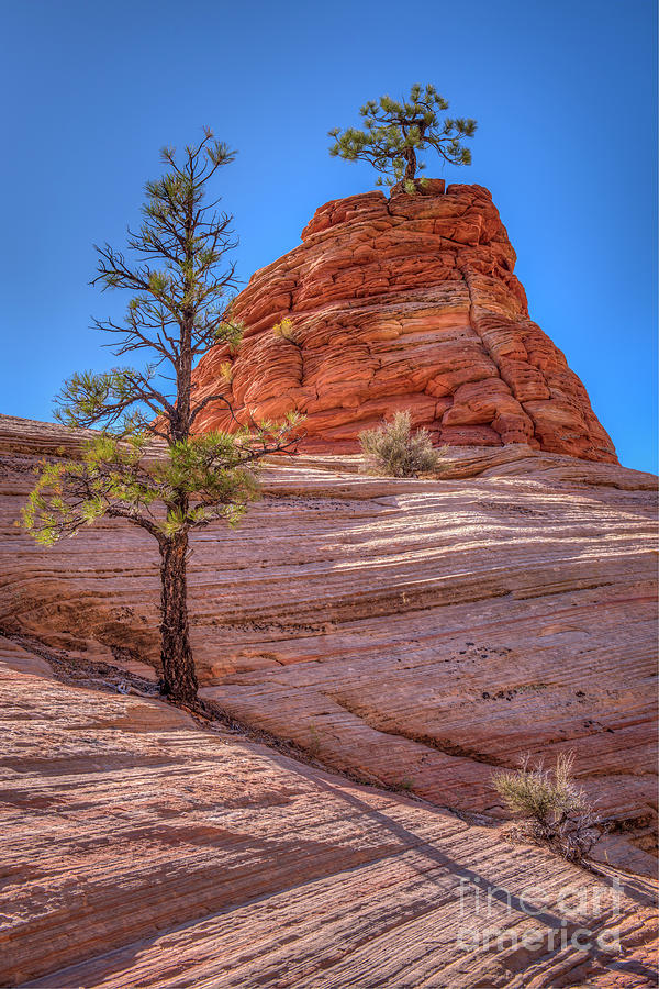 Harmony in Balance by Charles Dobbs Harmony in Balance by Charles Dobbs