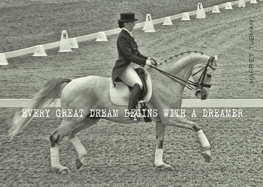 HARMONY quote Photograph by Dressage Design