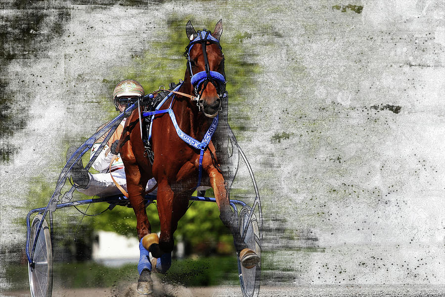 Harness Horse Cart Racing 02 Photograph by Hotte Hue | Fine Art America