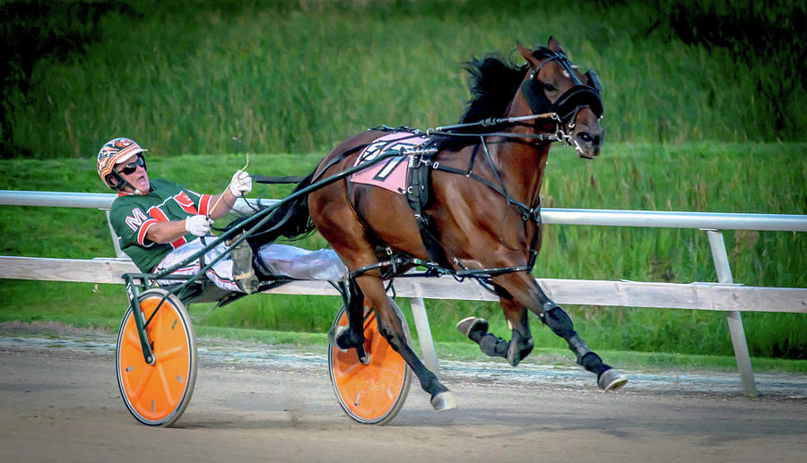 Harness Racing Photograph by Debra Kewley