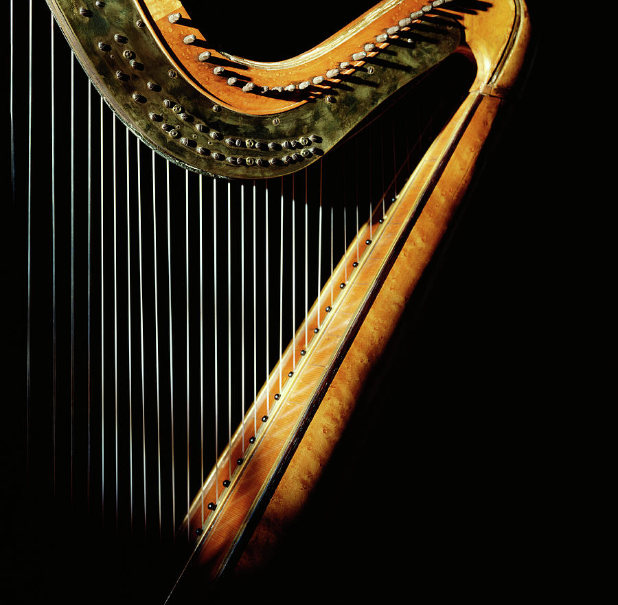 Harp In Sunlight Photograph by Peter Dazeley