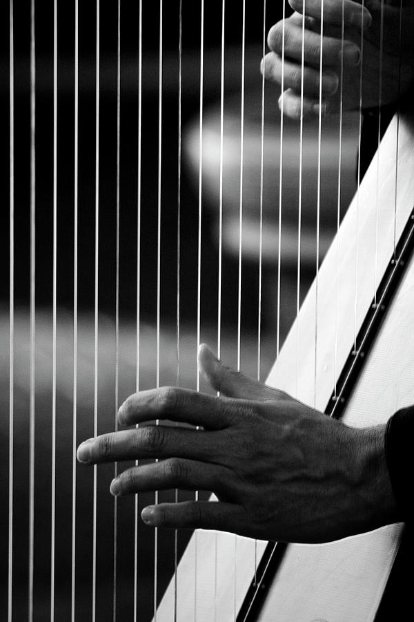 Harpist Photograph by Photo By Ahmad Kavousian