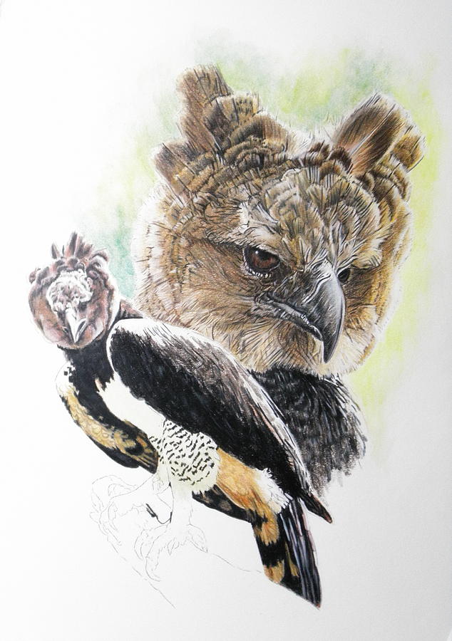 2019 Harpy day 8 by Barbara Keith 2019 Harpy day 8 by Barbara Keith