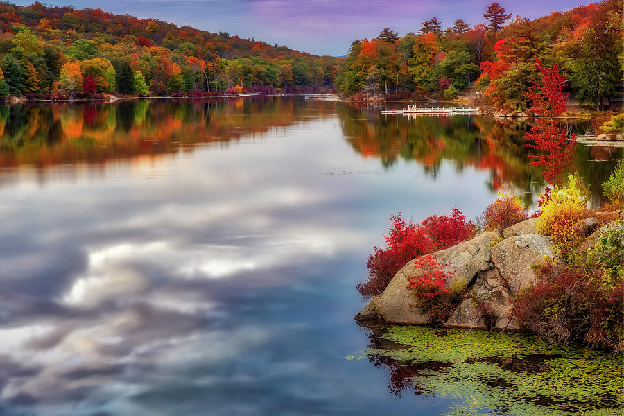 Harriman State Park In Autumn Photograph by Susan Candelario