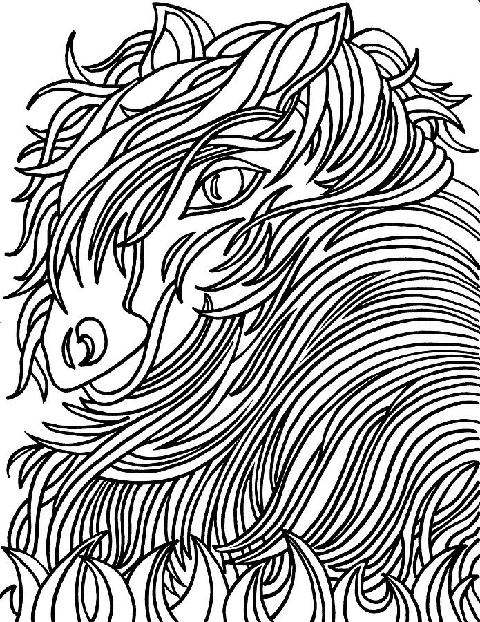 Horse Drawing - Harrington The Horse by Kathy G. Ahrens