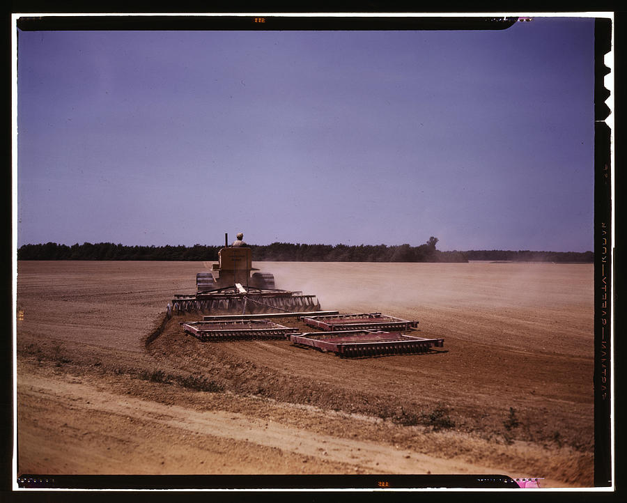 Harrowing a field with a diesel tractor Painting by Collier, John Harrowing a field with a diesel tractor Painting by Collier, John