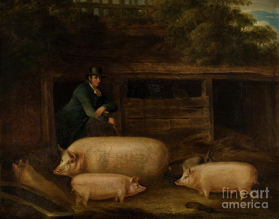 Harry Green, Pigman, With His Pigs In A Sty Painting by Thomas Weaver