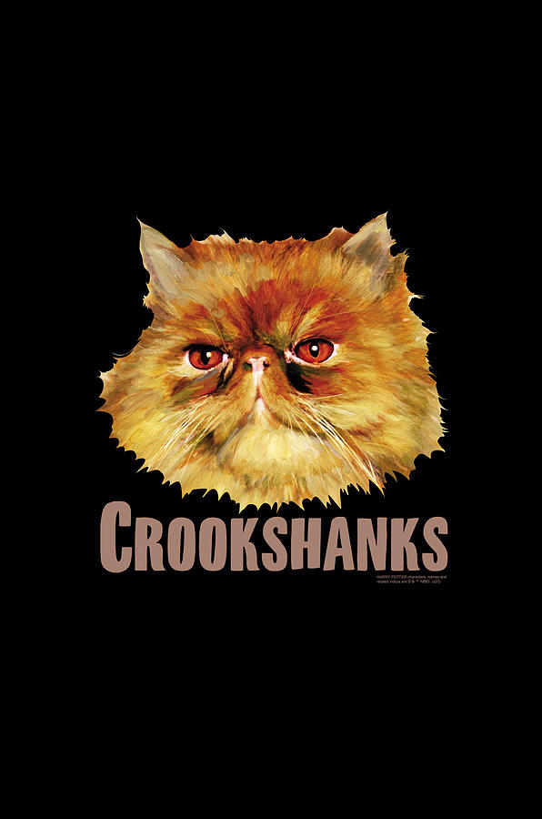 Harry Potter - Crookshanks Color Digital Art by Brand A
