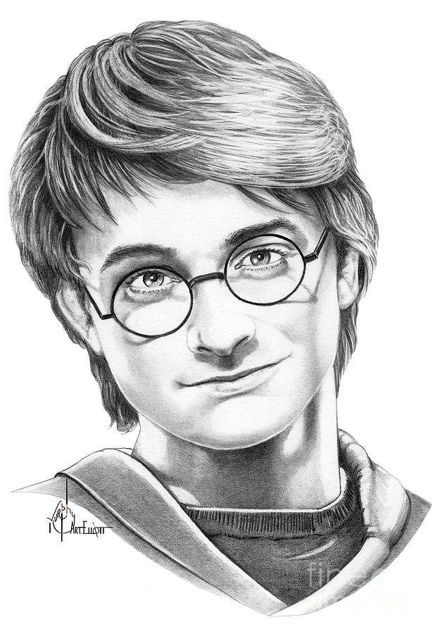 Harry Potter Drawing by Murphy Elliott - Fine Art America