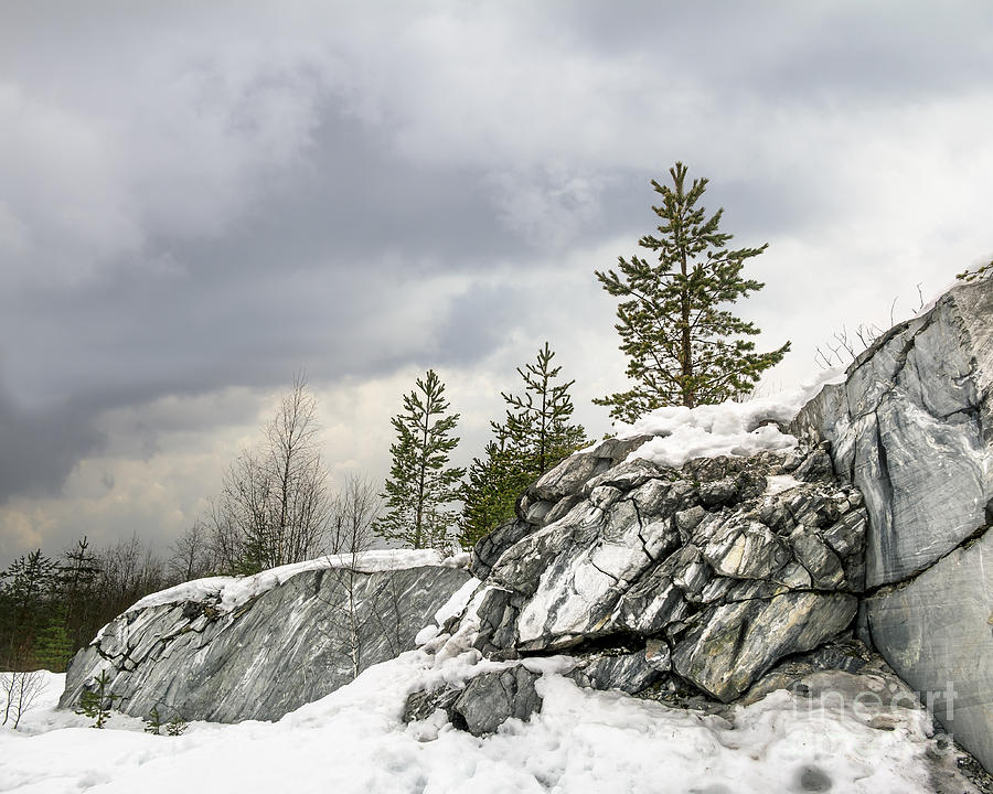 Forest Photograph - Harsh Northern Misty Landscape by Anton Kudelin Forest Photograph - Harsh Northern Misty Landscape by Anton Kudelin