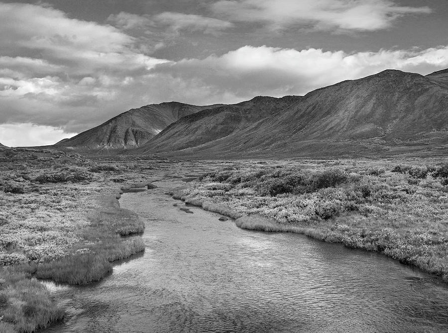 Hart River Flowing And Ogilvie Mountains Photograph by Tim Fitzharris