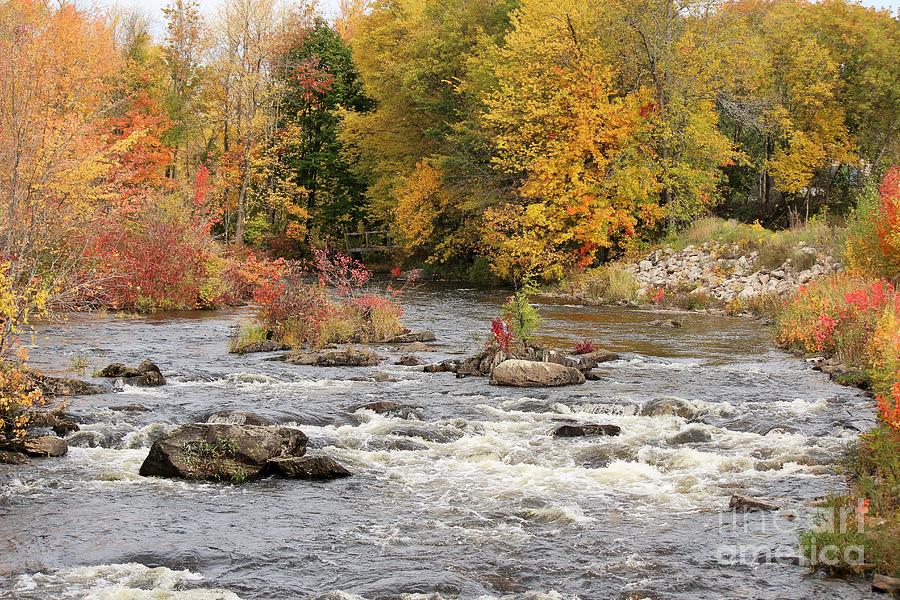 Hartland Maine Fall Photograph by Colleen Snow - Fine Art America