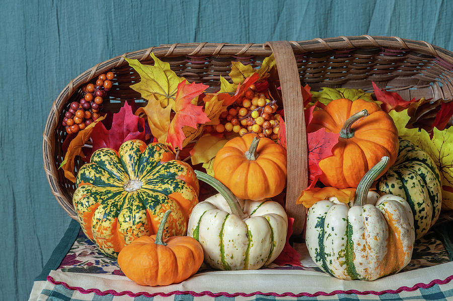 Harvest Basket of Pumpkins and Squash Photograph by Ron Dubreuil