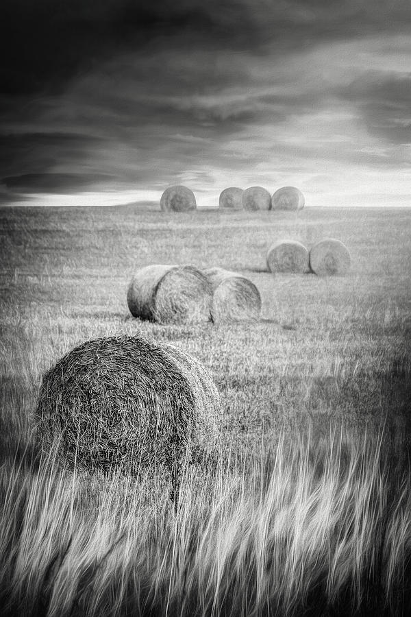 Harvest Hay Bales Scotland Black and White Photograph by Carol Japp