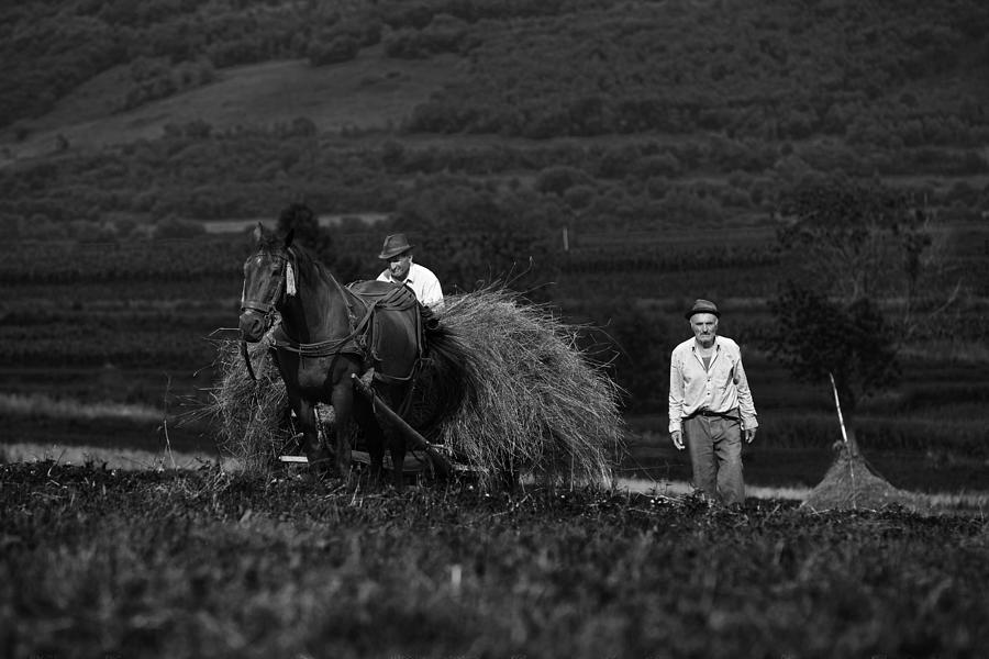 Harvest In July Photograph by Julien Oncete