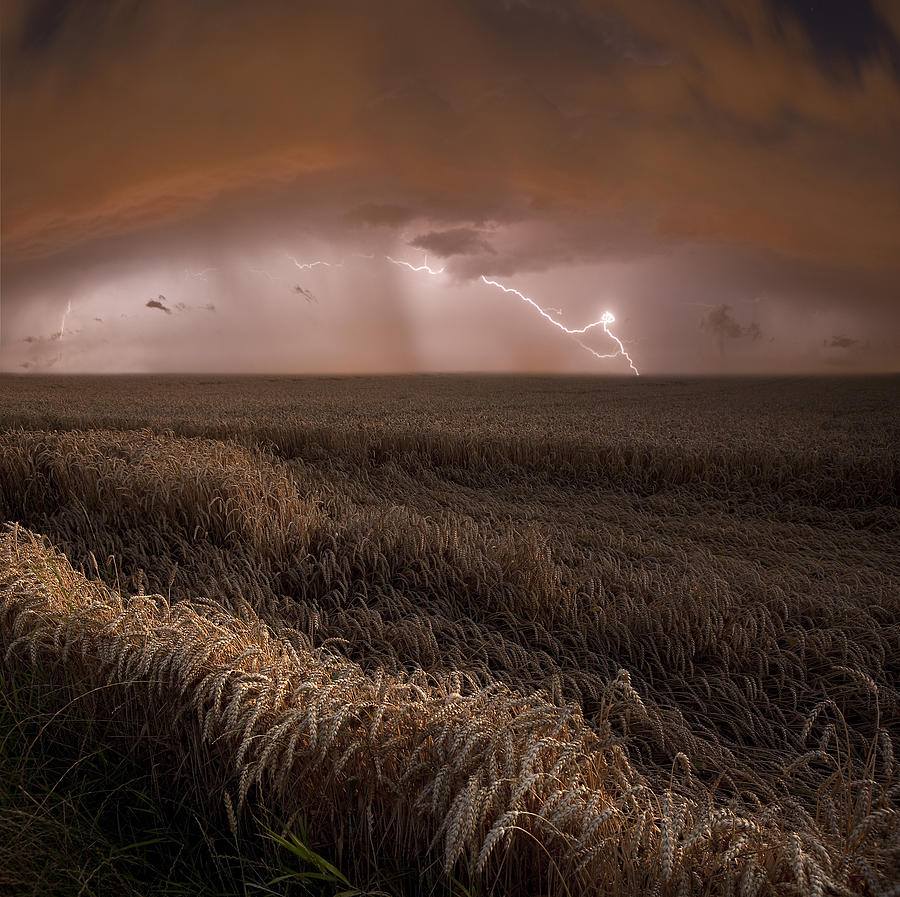 Landscape Photograph - Harvest Lights by Franz Schumacher
