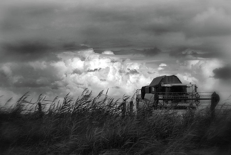 Black And White Photograph - Harvest Mood ... by Yvette Depaepe