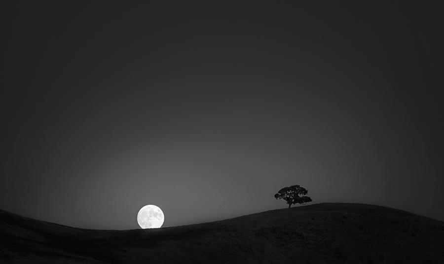 Black And White Photograph - Harvest Moon by Aidong Ning