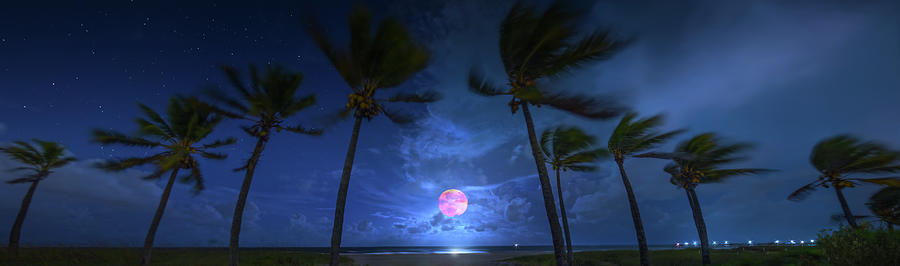 Harvest Moon at the Beach Photograph by Mark Andrew Thomas