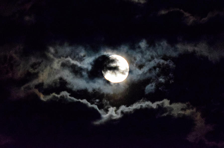 Moon Photograph - Harvest Moon by Christina Maiorano