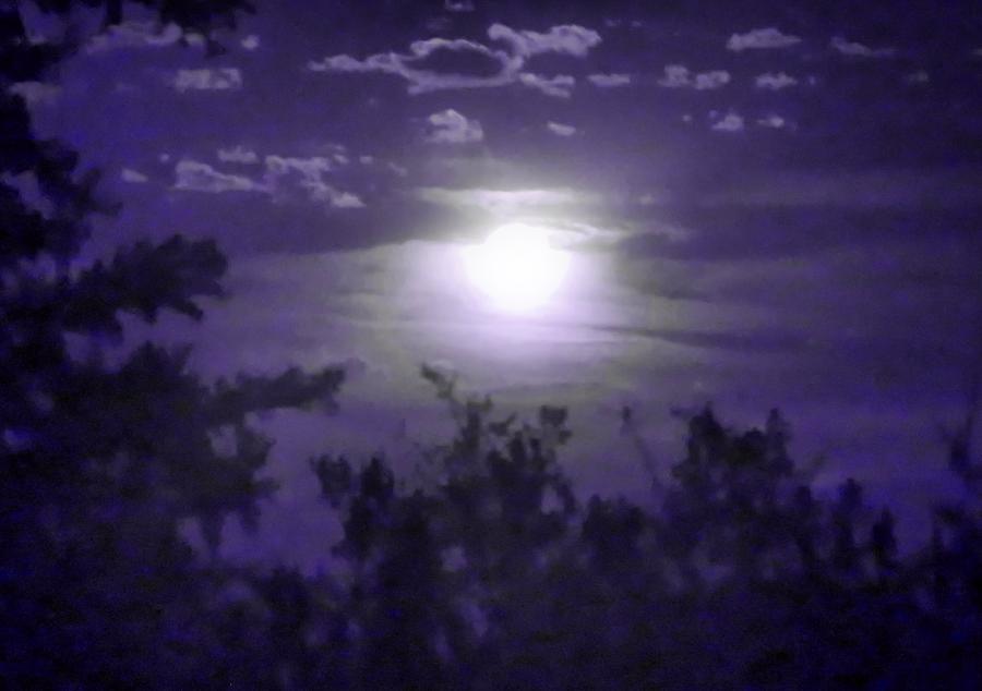 Harvest Moon in Pisces by Judy Kennedy Harvest Moon in Pisces by Judy Kennedy