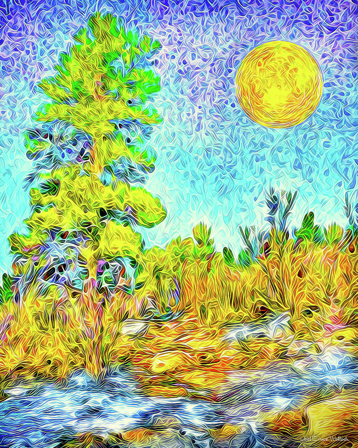 Winter Digital Art - Harvest Moon On Crystal Mountain - Boulder County Colorado by Joel Bruce Wallach