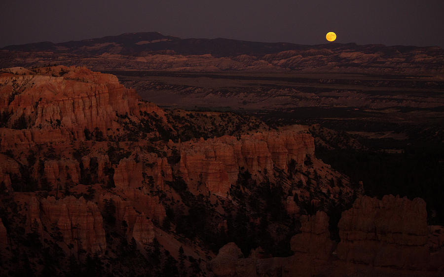 Harvest Moon over Bryce Canyon Photograph by Jonathan Thompson