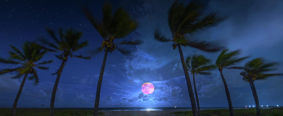Harvest Moon Over the Ocean Photograph by Mark Andrew Thomas