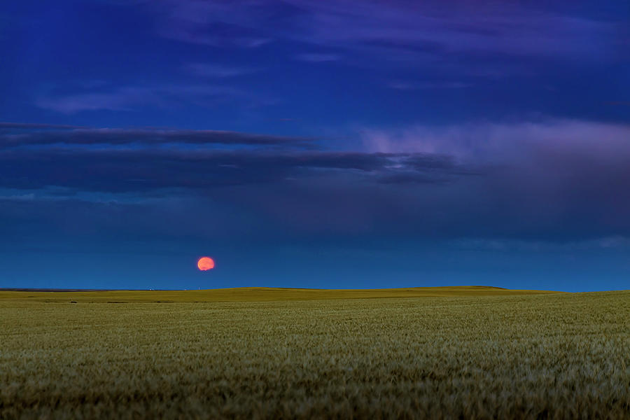 Harvest Moon Rising In Southern Photograph by Alan Dyer