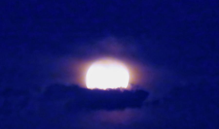 Harvest Moonrise in Pisces by Judy Kennedy Harvest Moonrise in Pisces by Judy Kennedy