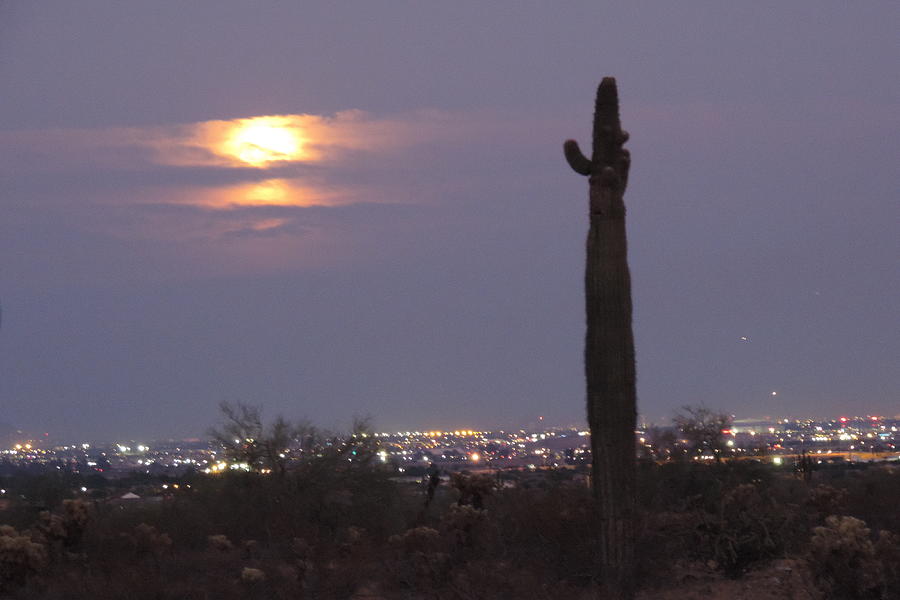 Harvest Moonrise Over Phoenix Photograph by Bill Tomsa
