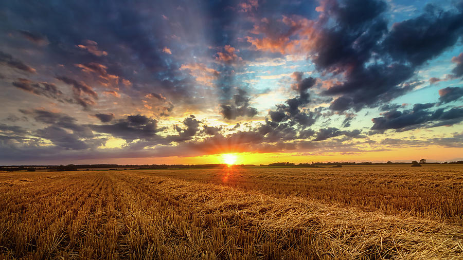 Harvest Sunset Photograph By Joe Rey Pixels