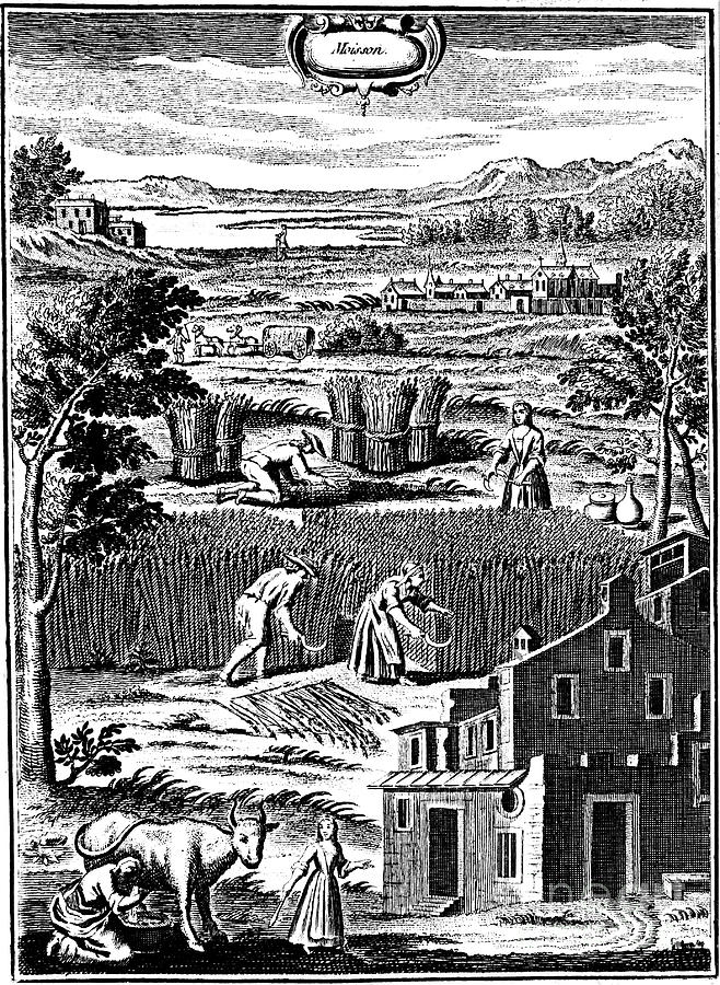 Harvest Time, 1762 Drawing by Print Collector