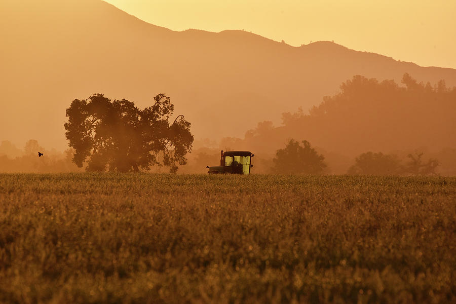 Harvester in Central California by Cindy McIntyre Harvester in Central California by Cindy McIntyre