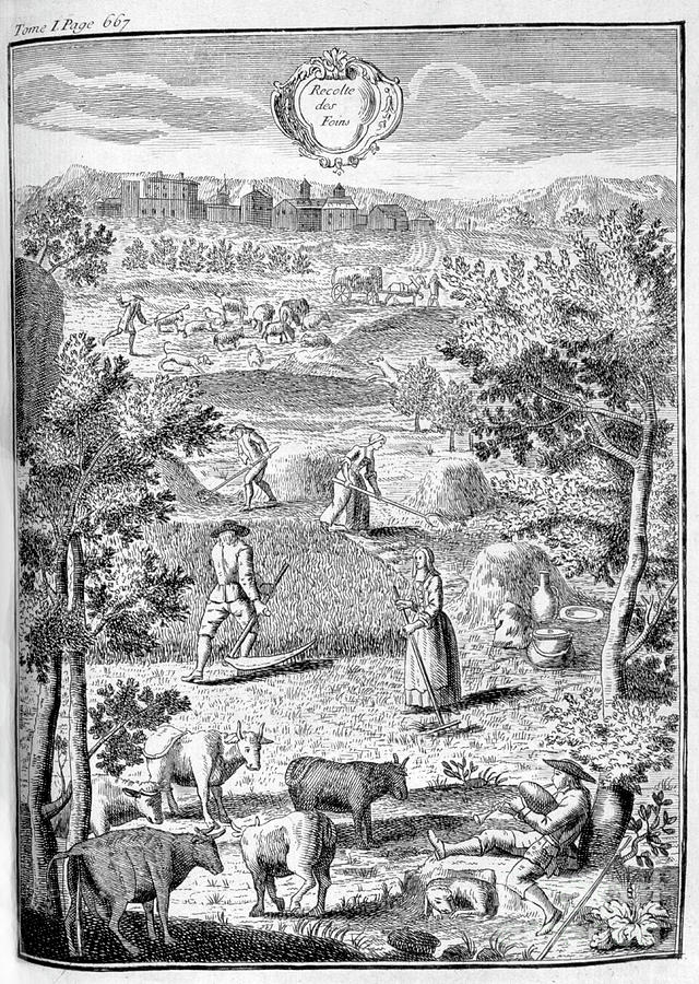 Harvesting The Hay, 1775 Drawing by Print Collector