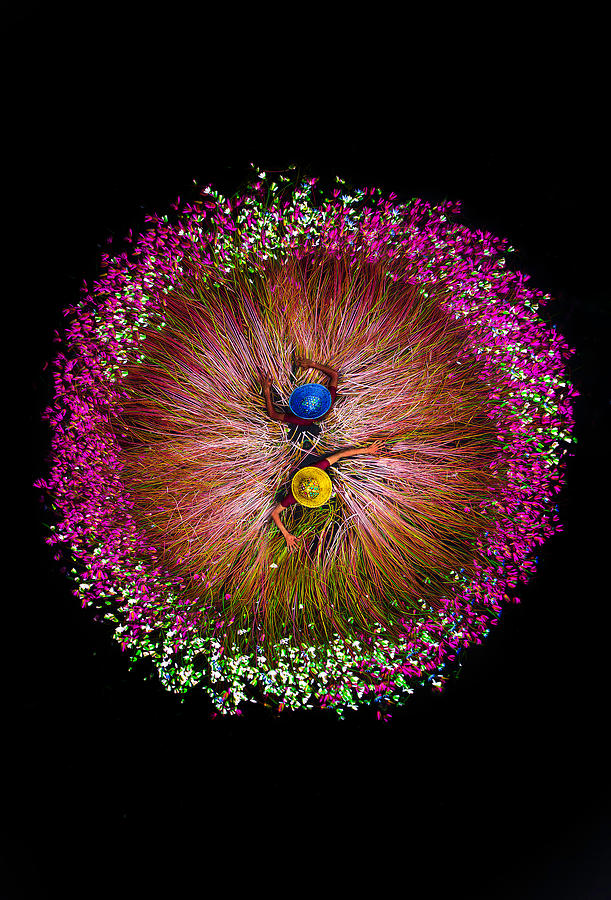 Flower Photograph - Harvesting Water Lilies by Tanvir