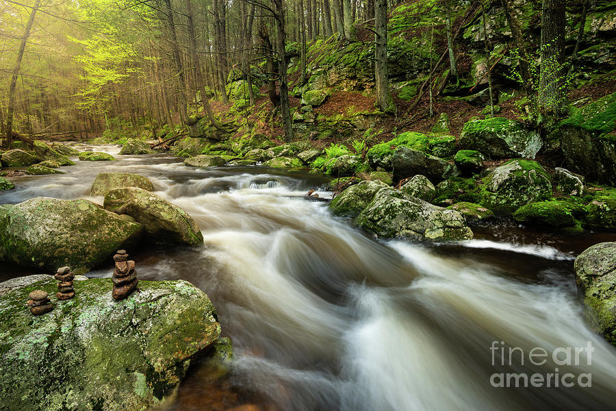 Escape to Nature's Embrace: A Guide to Harwinton State Park