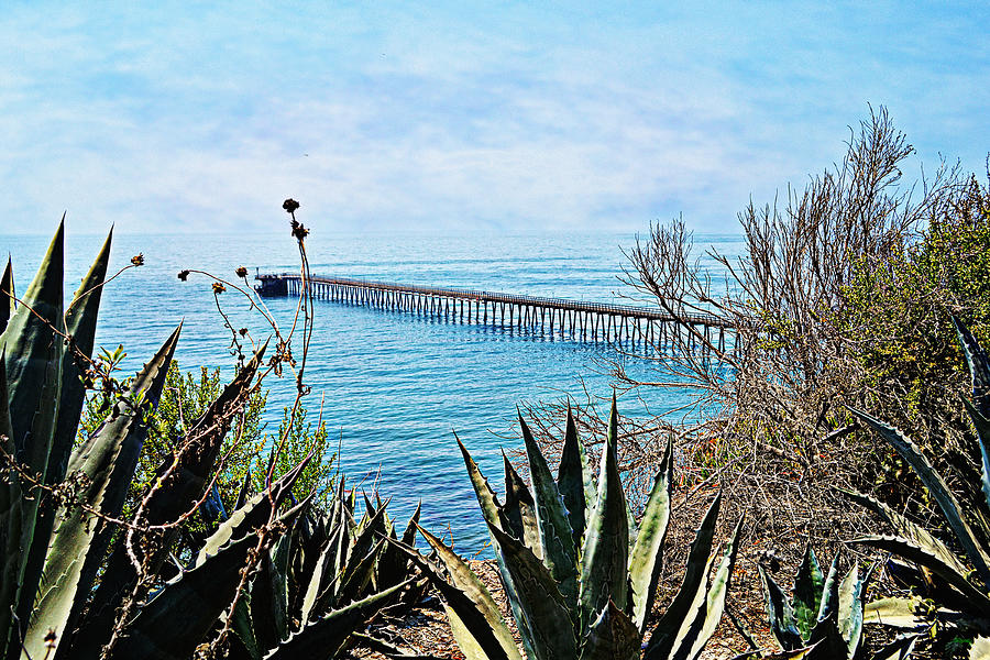 Haskell Beach Pier Photograph by Glenn McCarthy Art and Photography