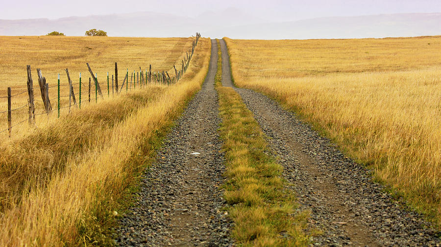 Hastings Mesa, Colorado, Usa - Dirt Photograph by Panoramic Images ...