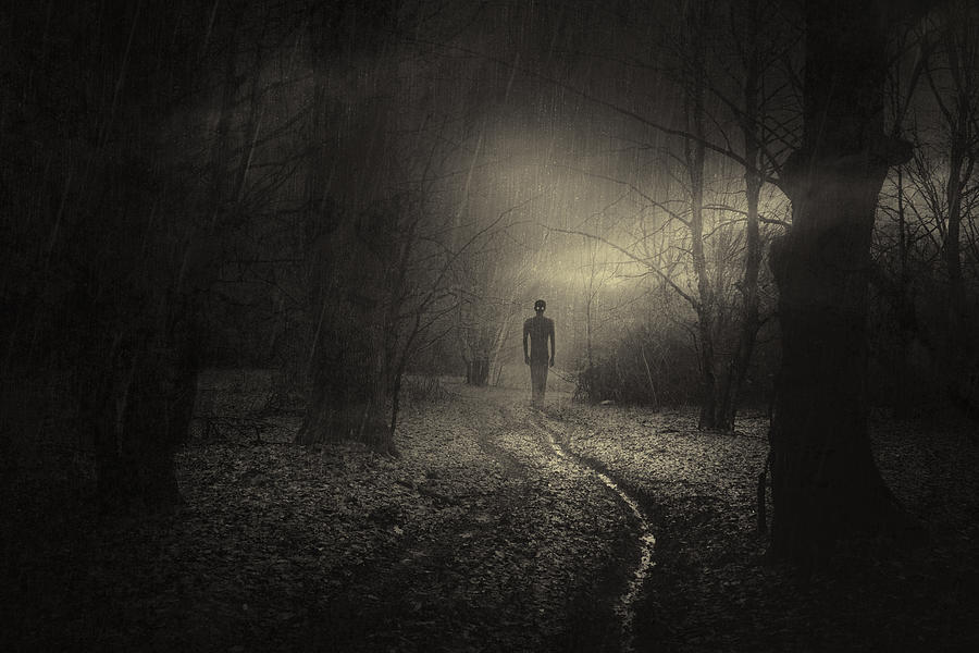 Silhouette Photograph - Haunting by Photocosma Silhouette Photograph - Haunting by Photocosma