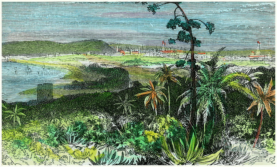 Havana, Cuba, C1880 Drawing by Print Collector