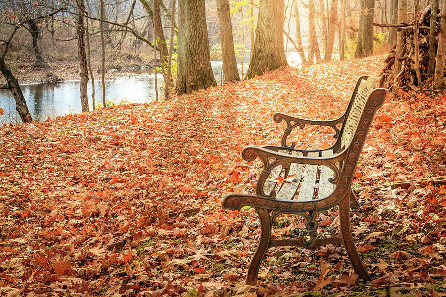 Fall Photograph - Have a rest by Alexey Stiop