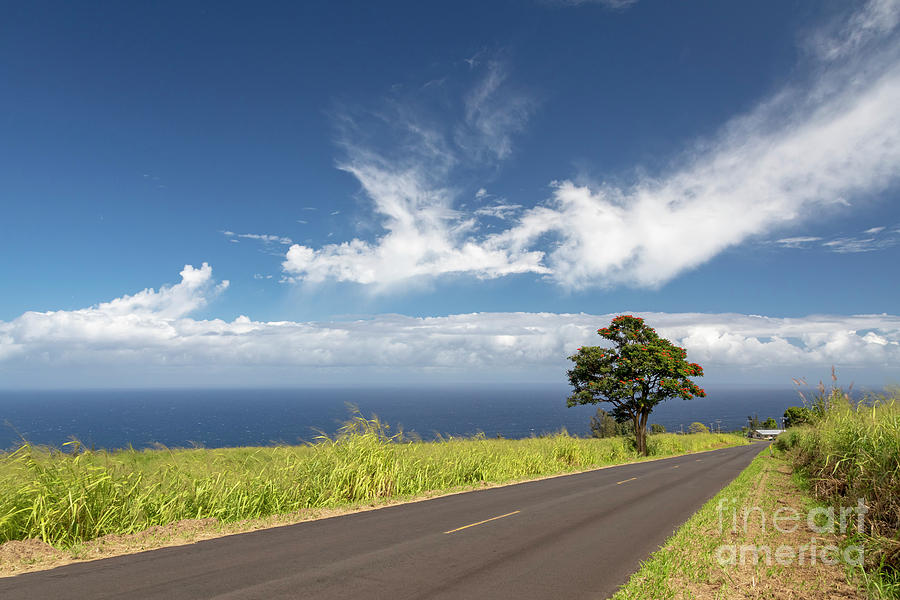 Hawaii Highway Photograph by Jim West