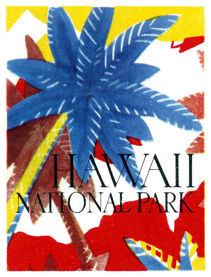 Hawaii National Park Painting by Historic Image